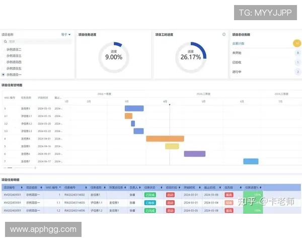 深入了解鸿博国际平台的优势与用户体验分享